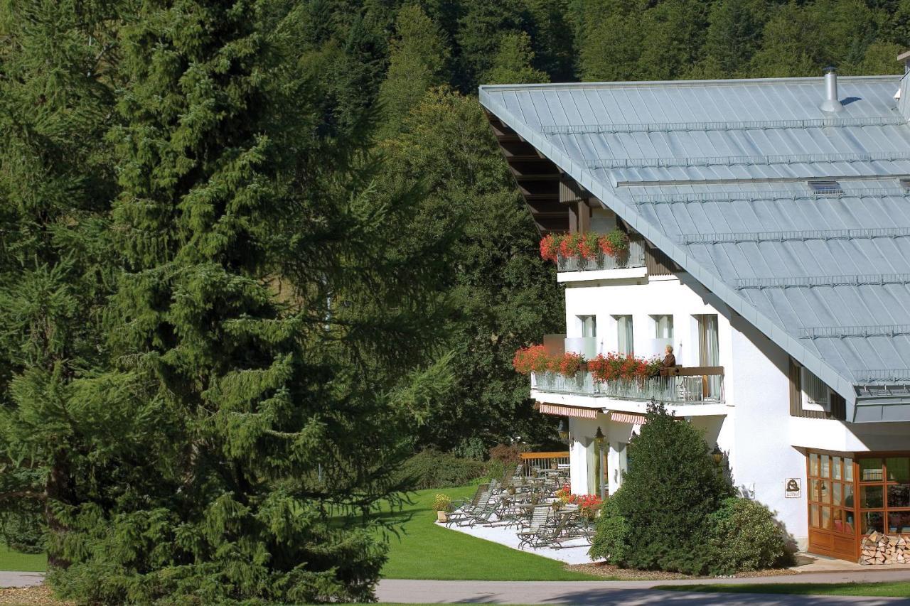 Hotel Les Buttes Ventron Exteriör bild